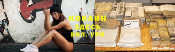 мескалин Богданович