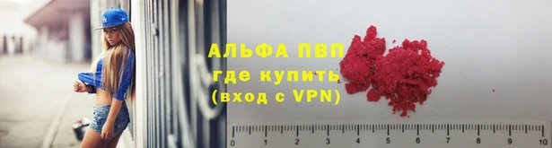 мескалин Богданович