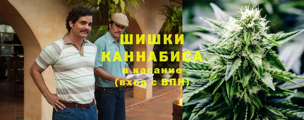 мескалин Богданович