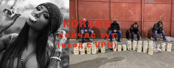 мескалин Богданович