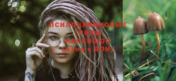 эйфоретик Богородицк