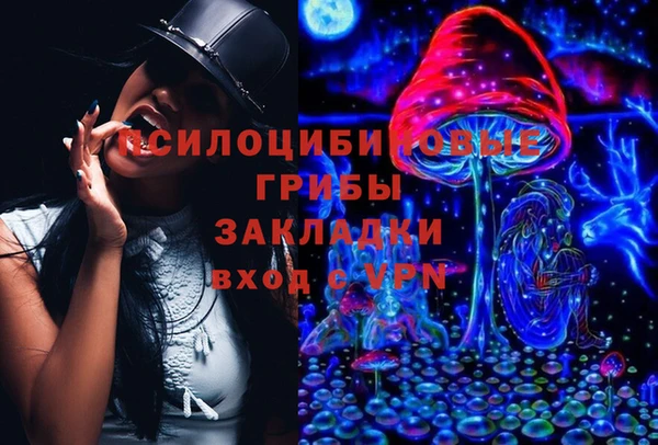 мескалин Богданович