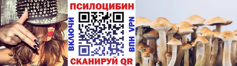 Купить где Бавлы Псилоцибиновые грибы Cubensis