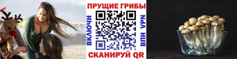 Псилоцибиновые грибы Magic Shrooms Бавлы